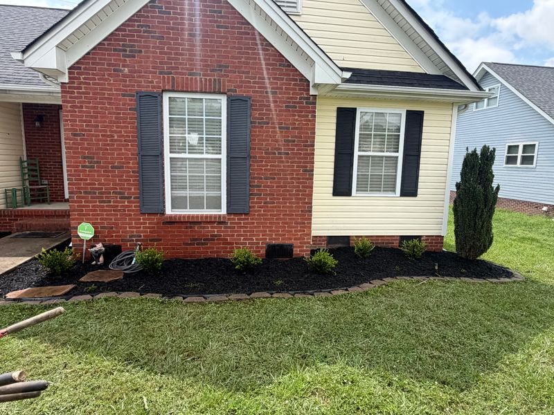 Landscape and landscape design