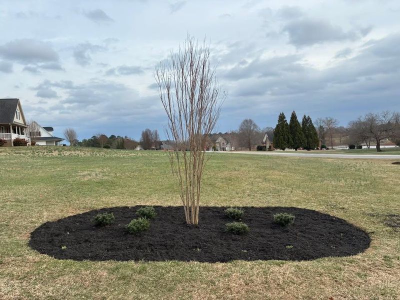 Landscape Design