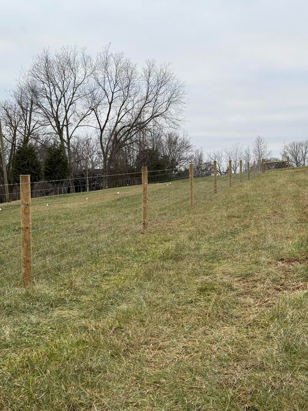Fences