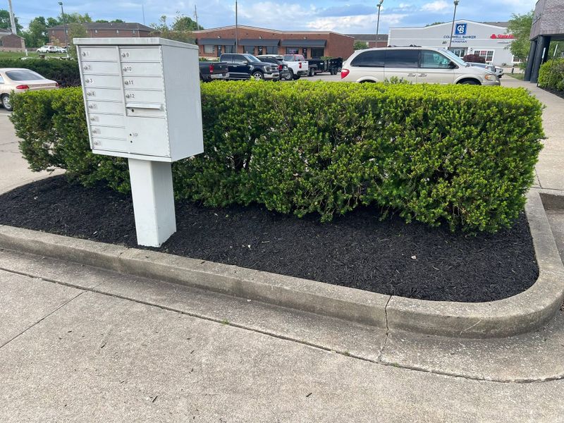 Landscaping & Fencing
