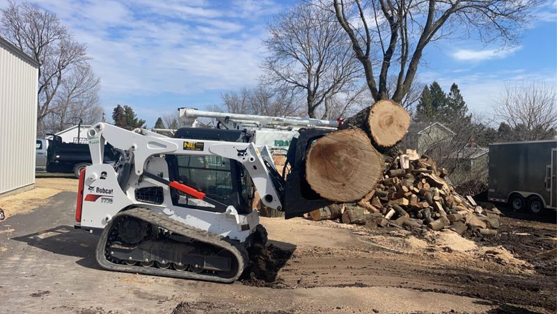 Tree Removal gallery