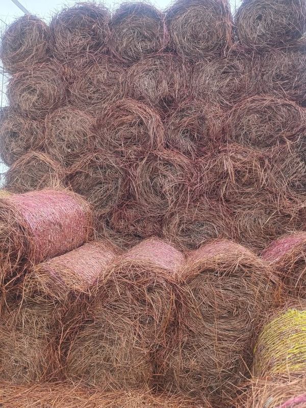 Pinestraw Installation
