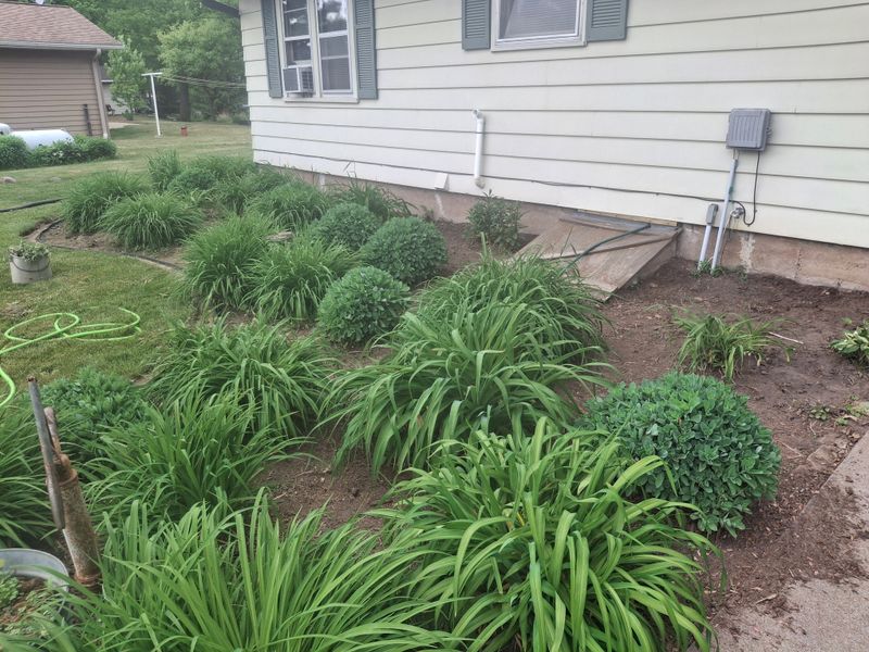 Landscape Design