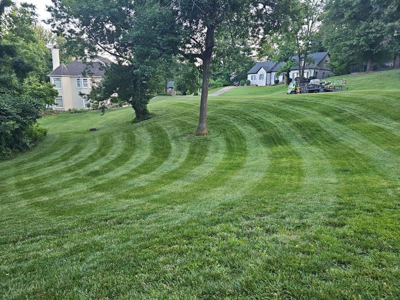 Lawn Maintenance