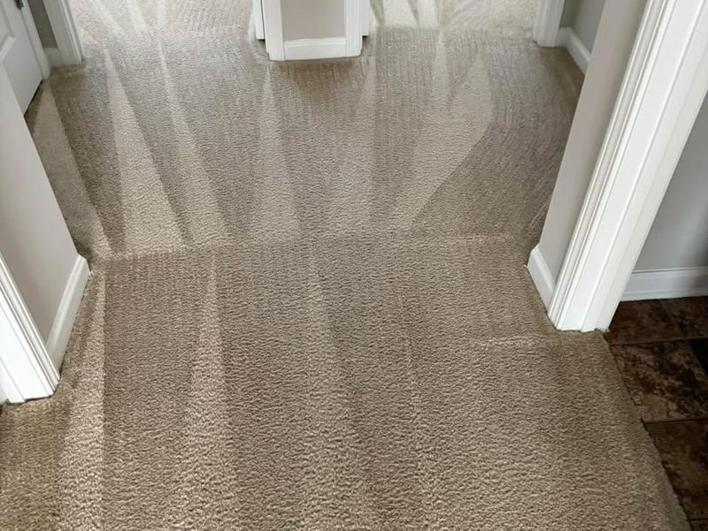 Commercial Cleaning