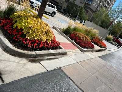 Landscaping