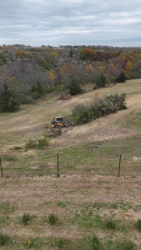 Forestry Mulching