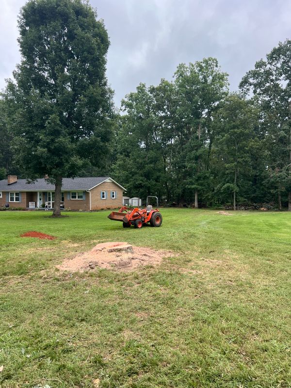 Fall Clean Up