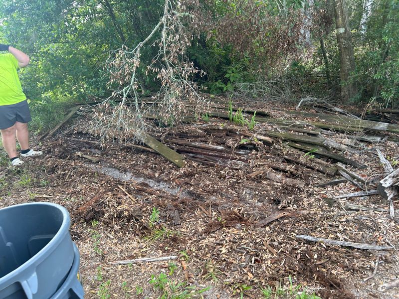 Backyard Cleanup