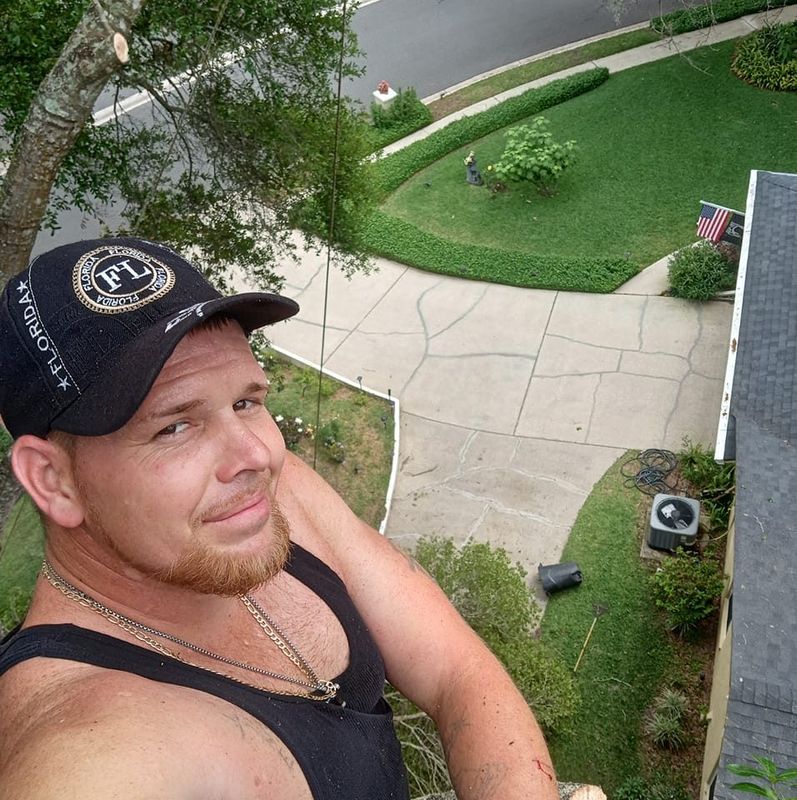 Tree Services