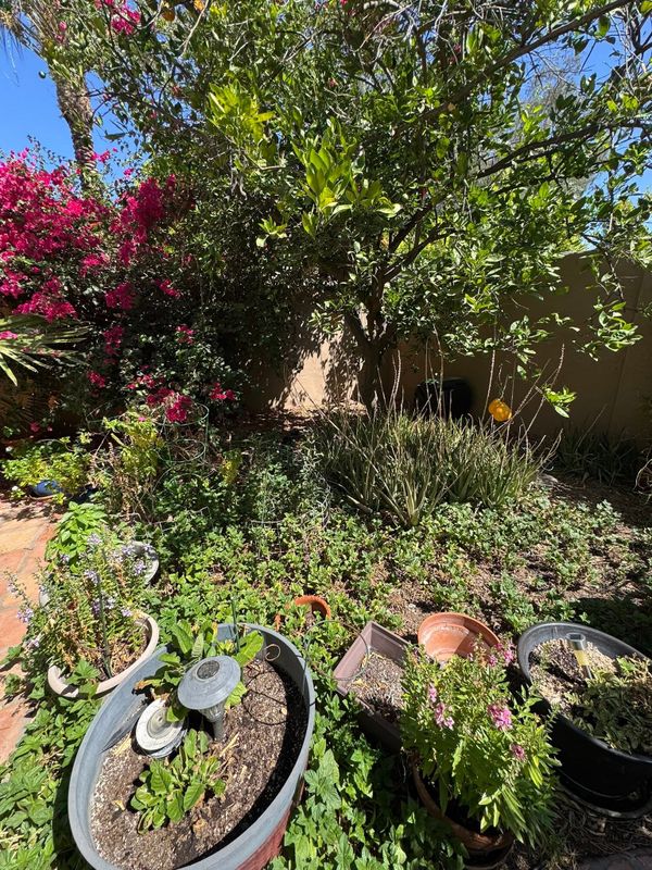 Landscaping