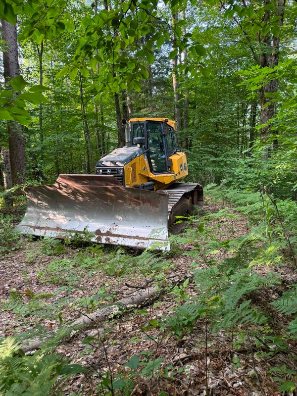 Land Clearing