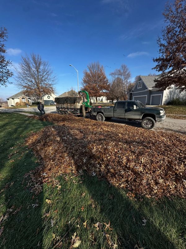 Leaf Removal