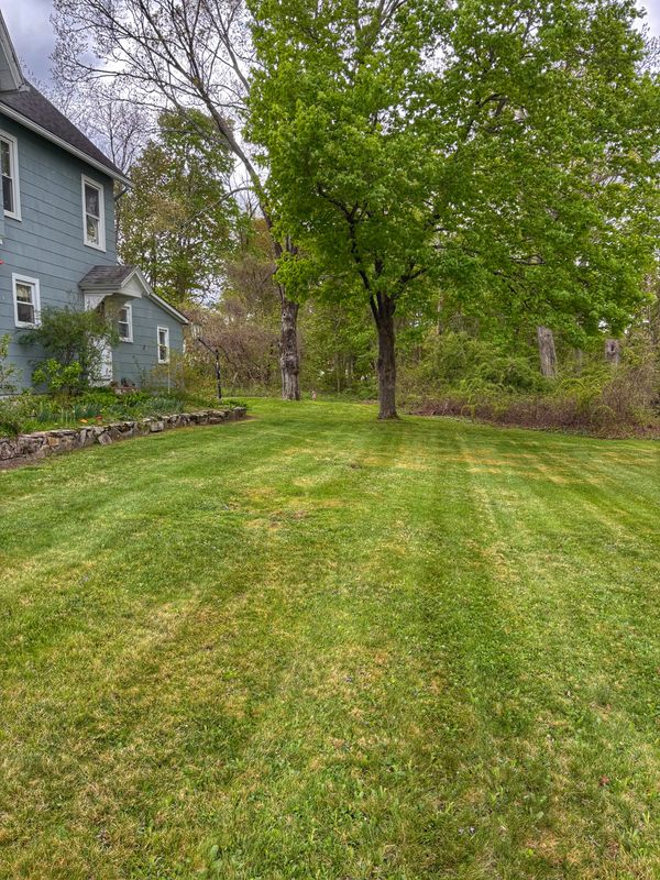 Lawn Maintenance