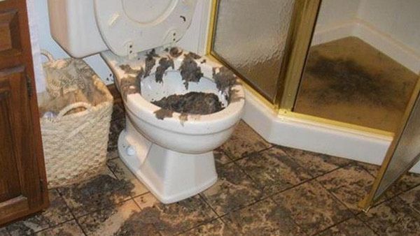 Sewage Backup