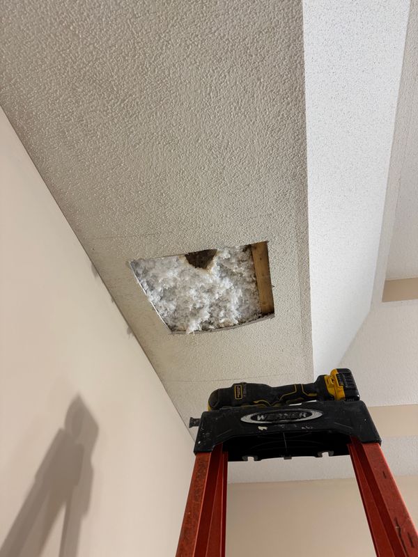 Interior Repairs