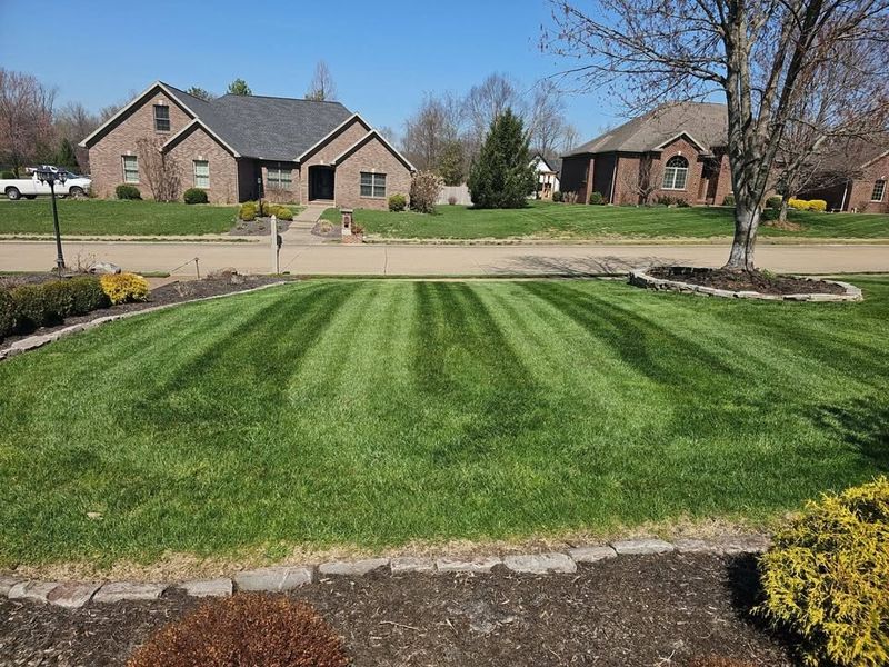 Lawn Maintenance Service