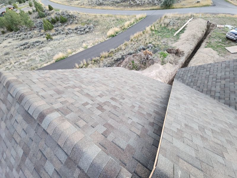 Shingle and Metal Roofs