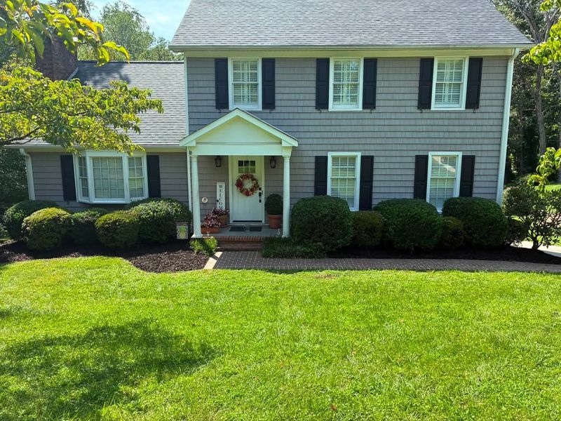 Tree & Shrub Care