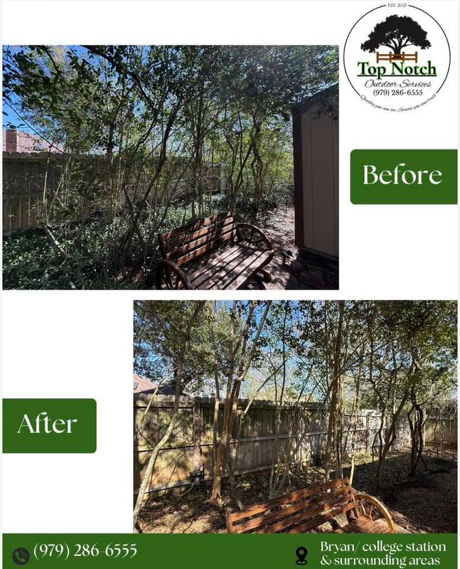 Tree and Shrub Care