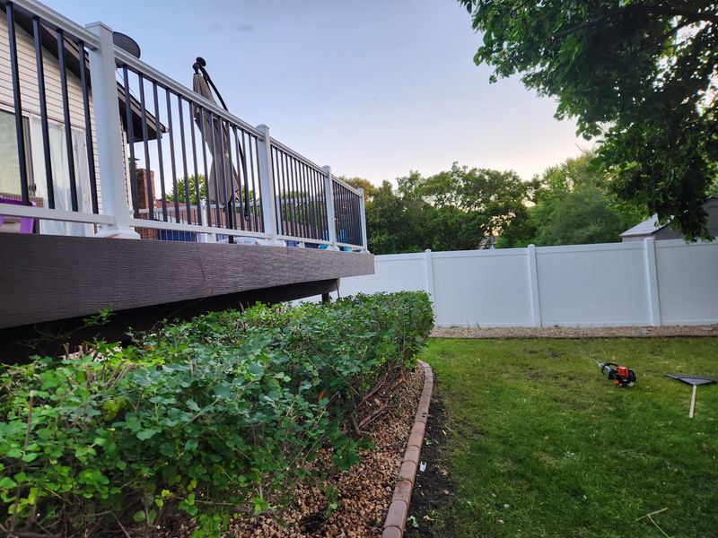 Hedge trimming 