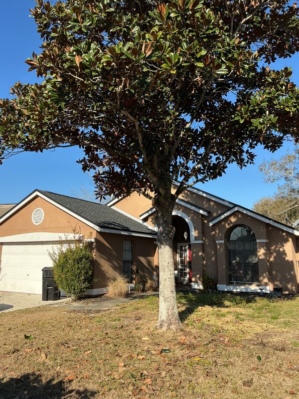 Tree Pruning