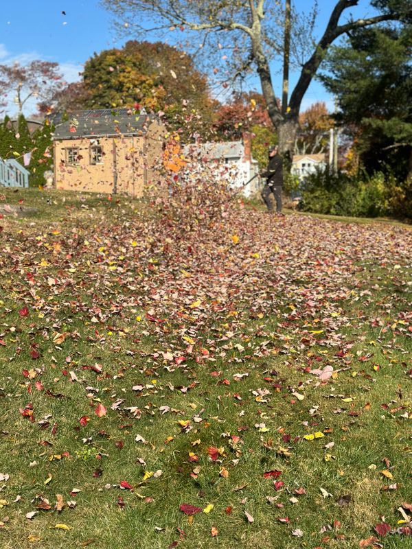 Spring & Fall Clean ups gallery
