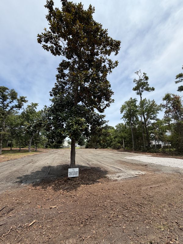 Land Clearing