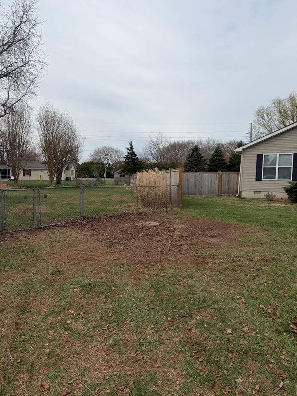 Tree Removal
