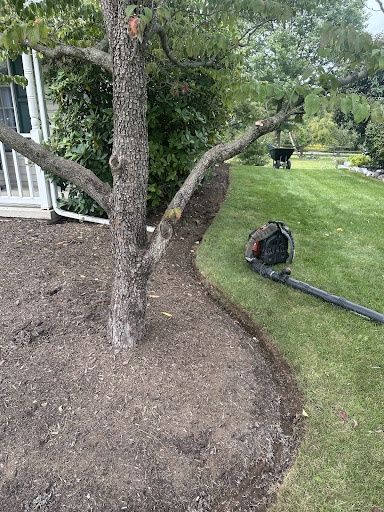 Tree and Shrub Care