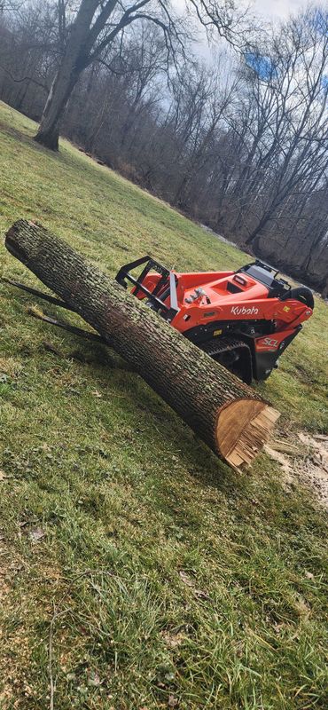 Tree & Shrub Care