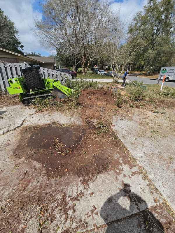 Stump Grinding