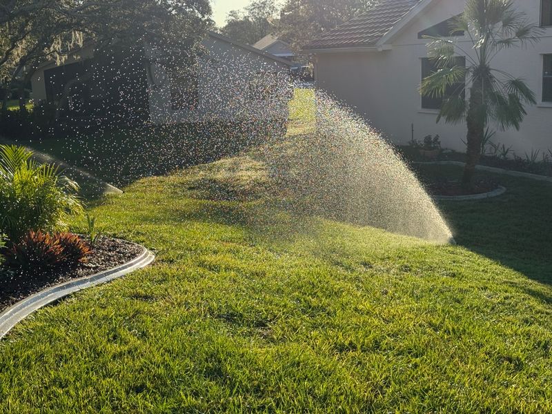 Drip Irrigation Installation and Maintenance