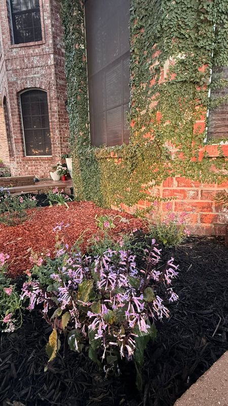 Garden Designs