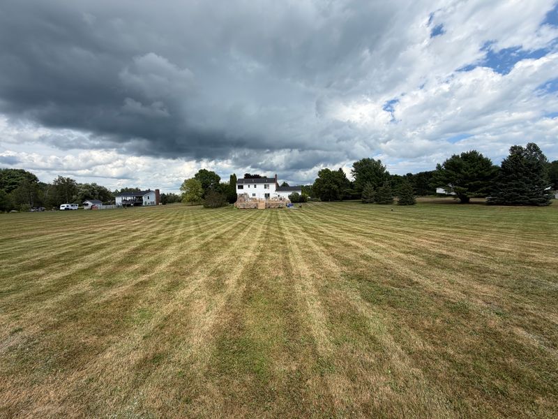Lawn Maintenance