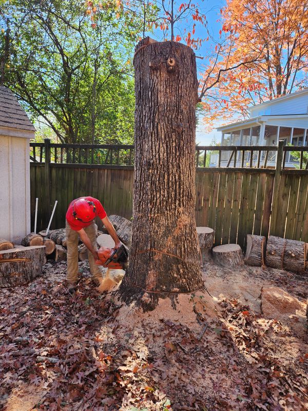 Stump Removal