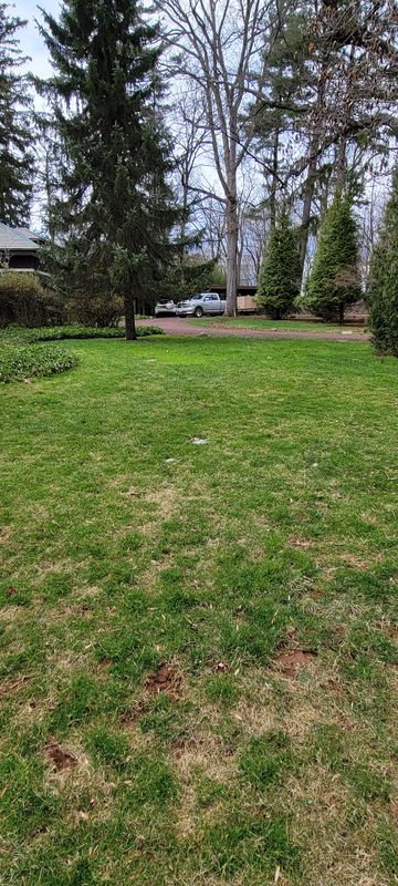 Landscaping & Hardscaping