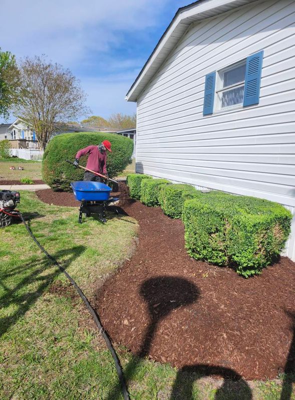 Landscape Design