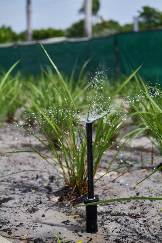 Irrigation gallery