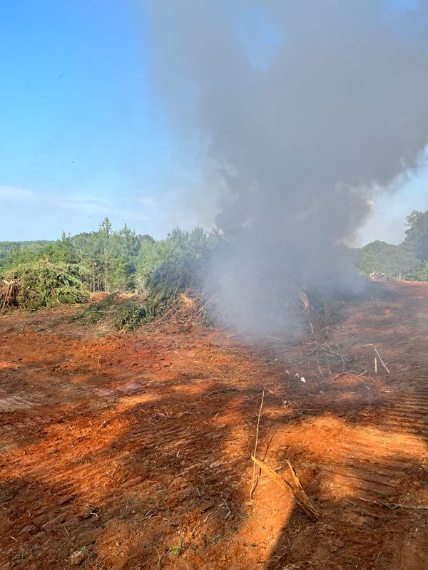 Land Clearing