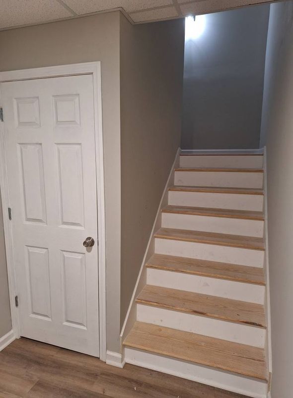 Basement Remodel