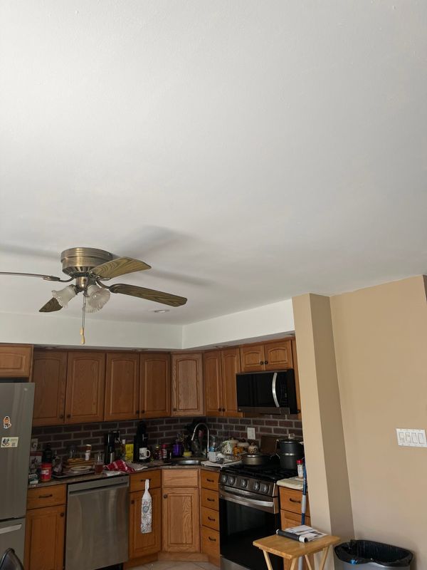 Ceiling Painting