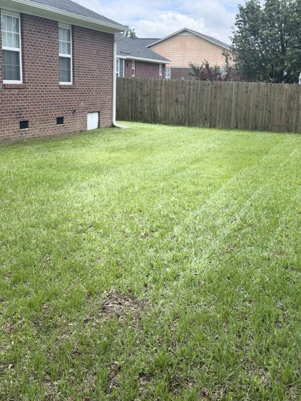 Lawn Maintenance