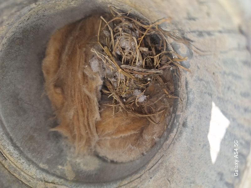 Dryer Vent Cleaning