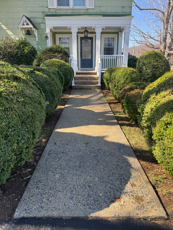 Driveway and Sidewalk Cleaning