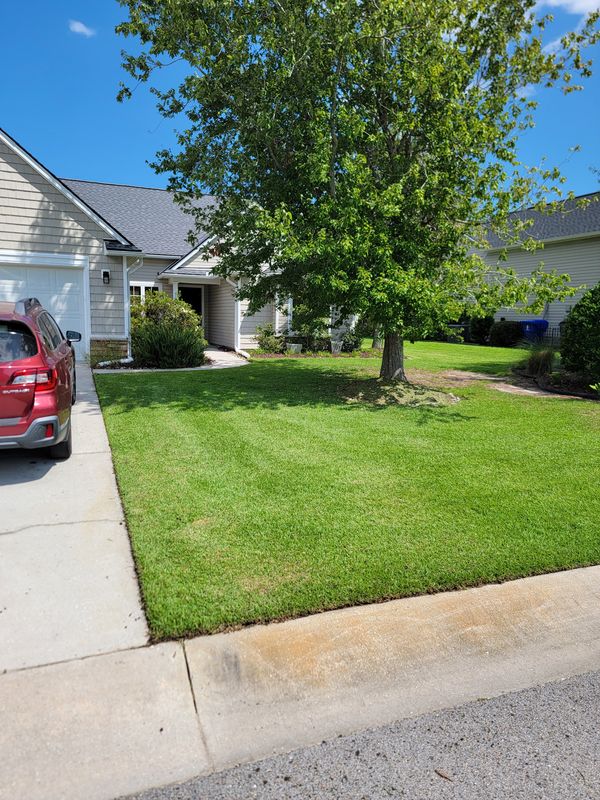 Landscaping