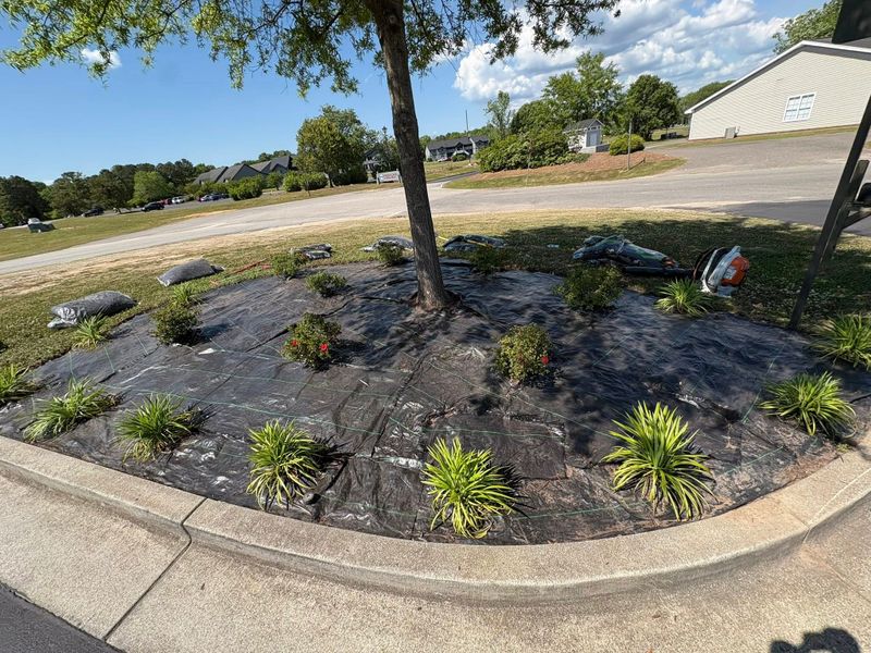Mulch Bed Installation and Renovation