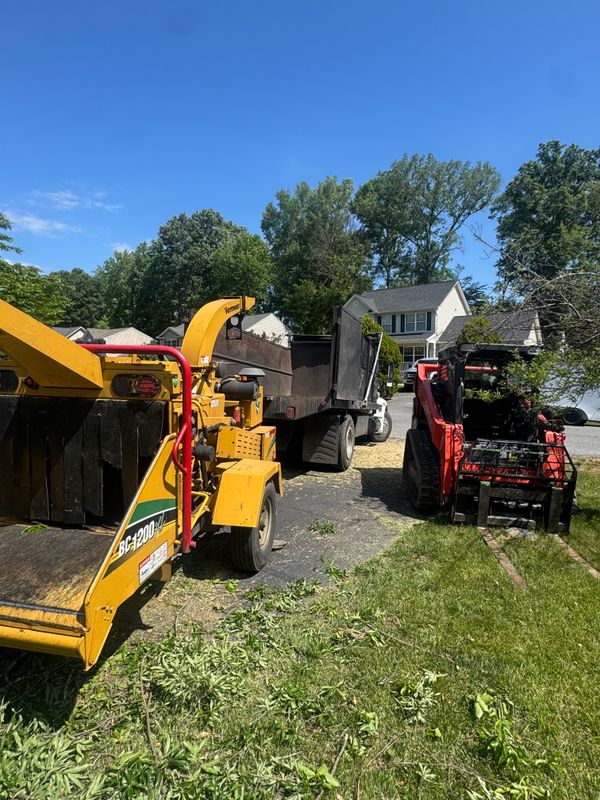 Stump Removal