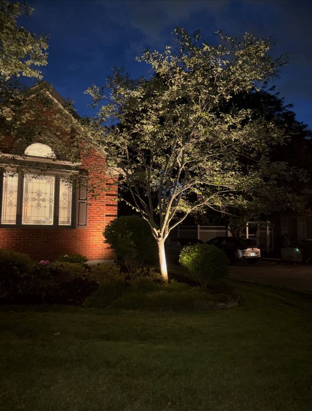 Lighting Installs