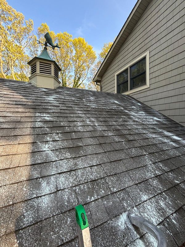 Roof Cleaning
